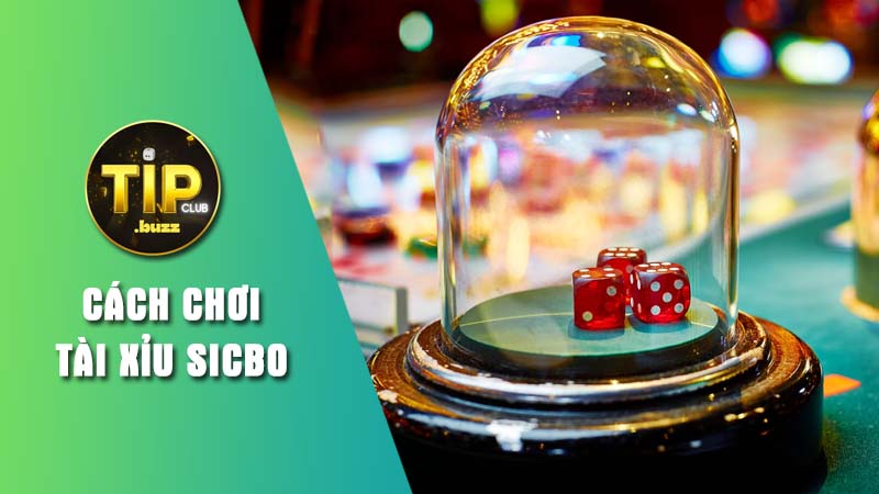 Tìm hiểu tổng quan về Tài Xỉu Sicbo Tipclub